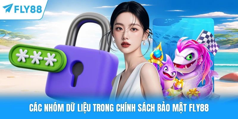 Chính Sách Bảo Mật FLY88 Các nhóm dữ liệu trong chính sách bảo mật FLY88