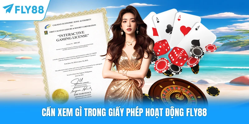 Giấy Phép Hoạt Động FLY88 Cần xem gì trong giấy phép hoạt động FLY88