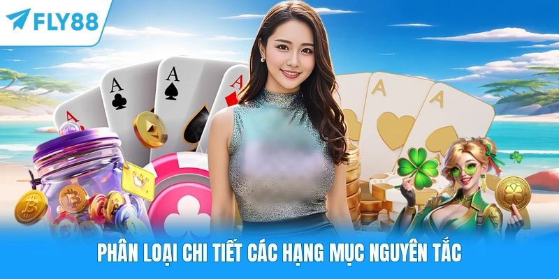 Phân loại chi tiết các hạng mục nguyên tắc